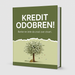 Prirunčnik za odobrenje kredita